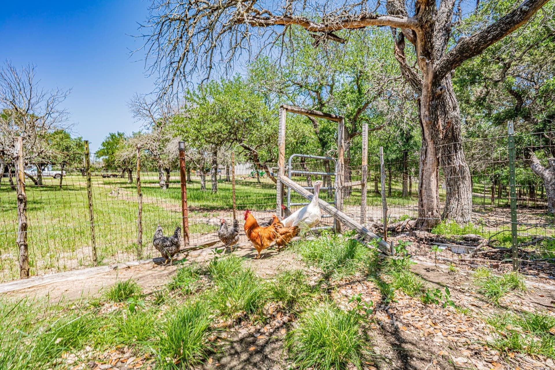 10 acres in Parker County - photo 35