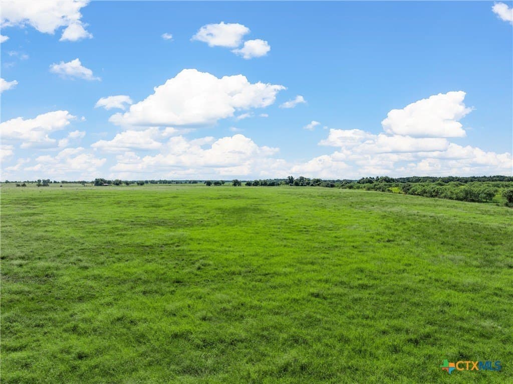 7.5 acres in Milam County - photo 6