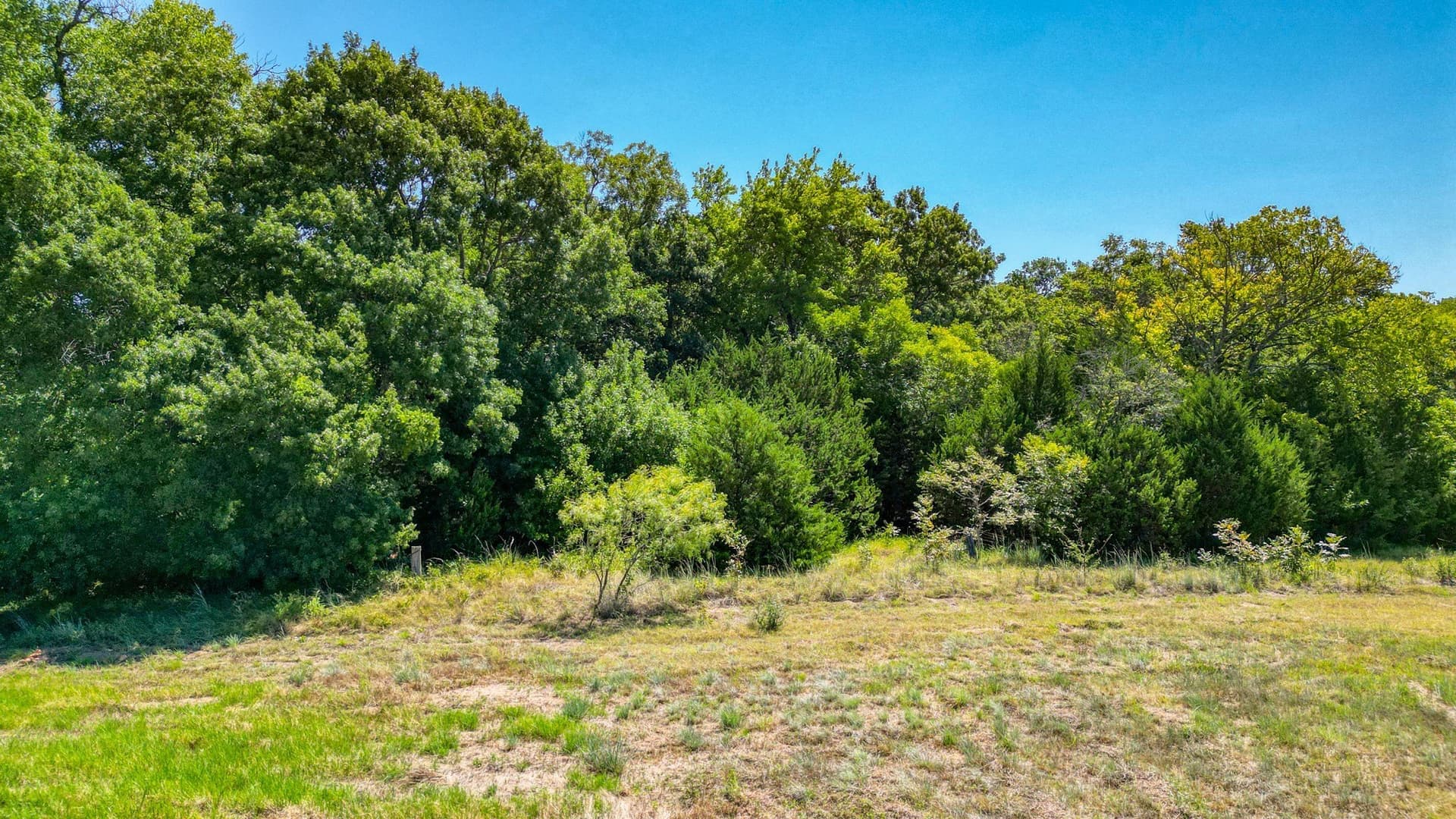 2.01 acres in Parker County - photo 9
