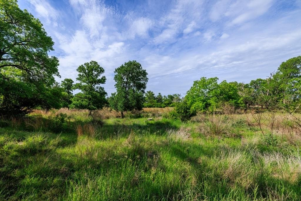 7.9 acres in Gillespie County featured view