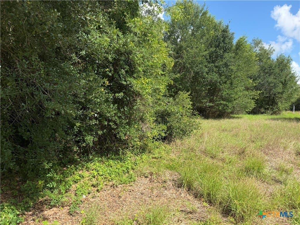 0.12 acres in Matagorda County gallery image 3