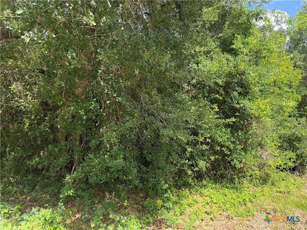 0.12 acres in Matagorda County gallery image 4