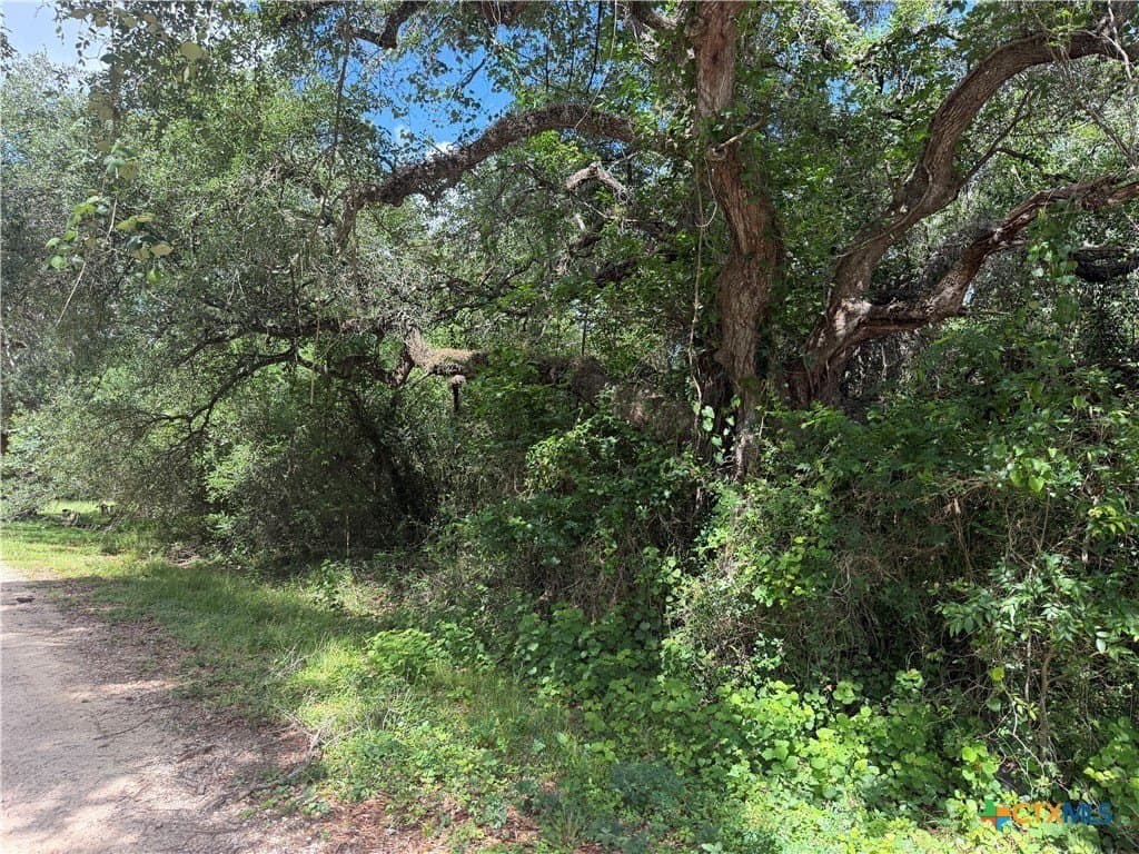 0.12 acres in Matagorda County gallery image 2