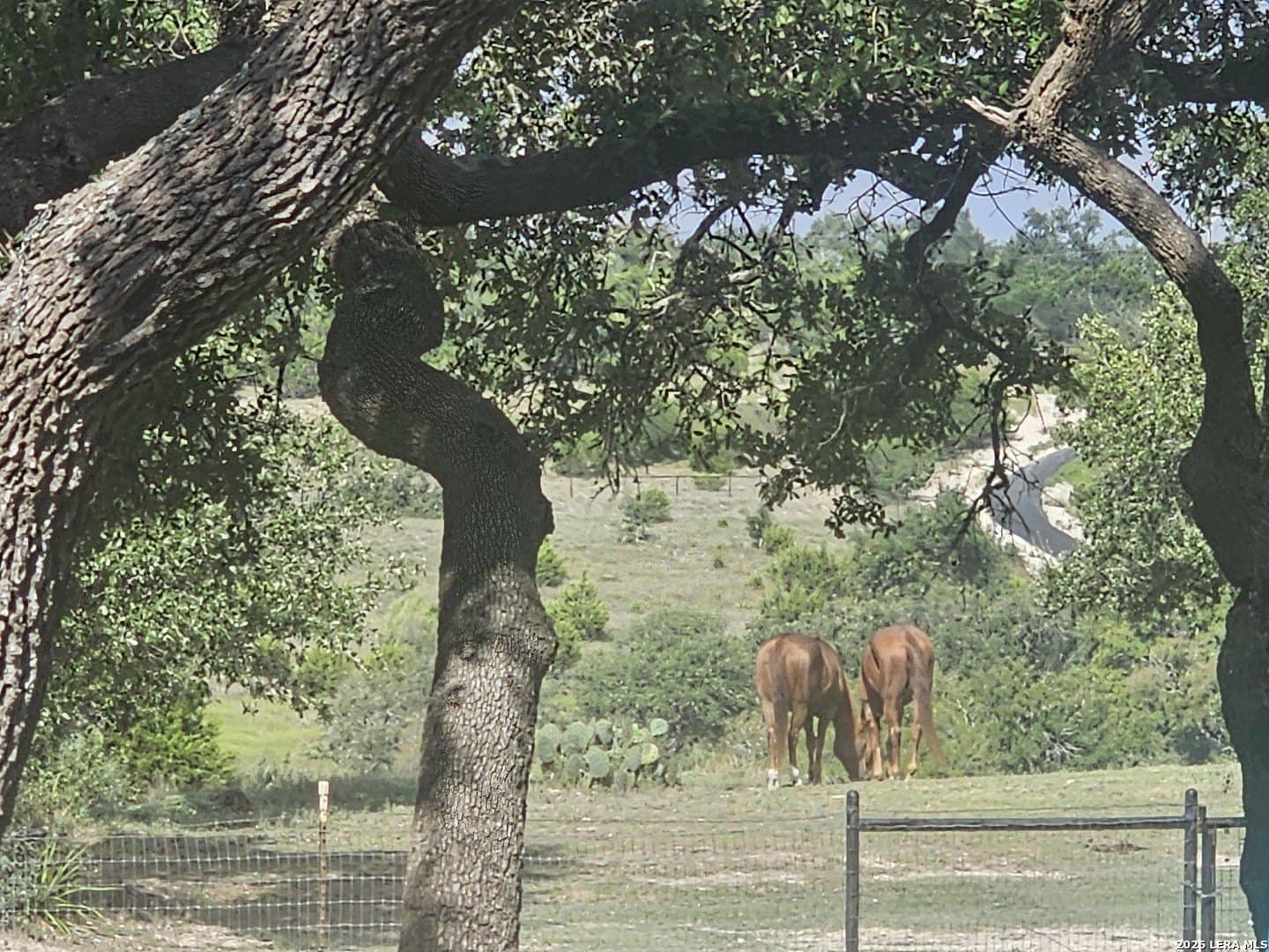 3 acres in Comal County