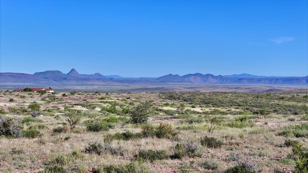 24.24 acres in Brewster County - photo 6