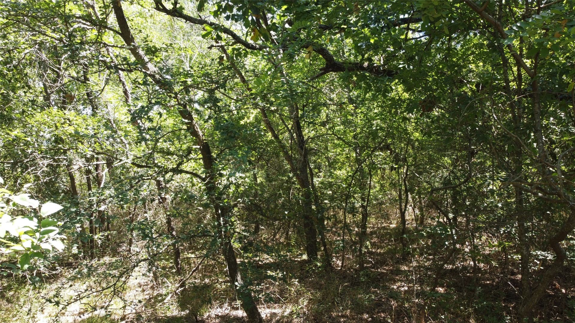 2.13 acres in Hunt County - photo 16