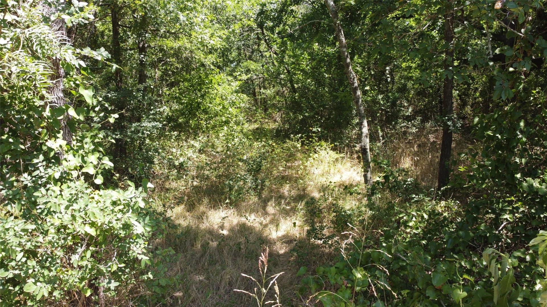 2.13 acres in Hunt County - photo 18