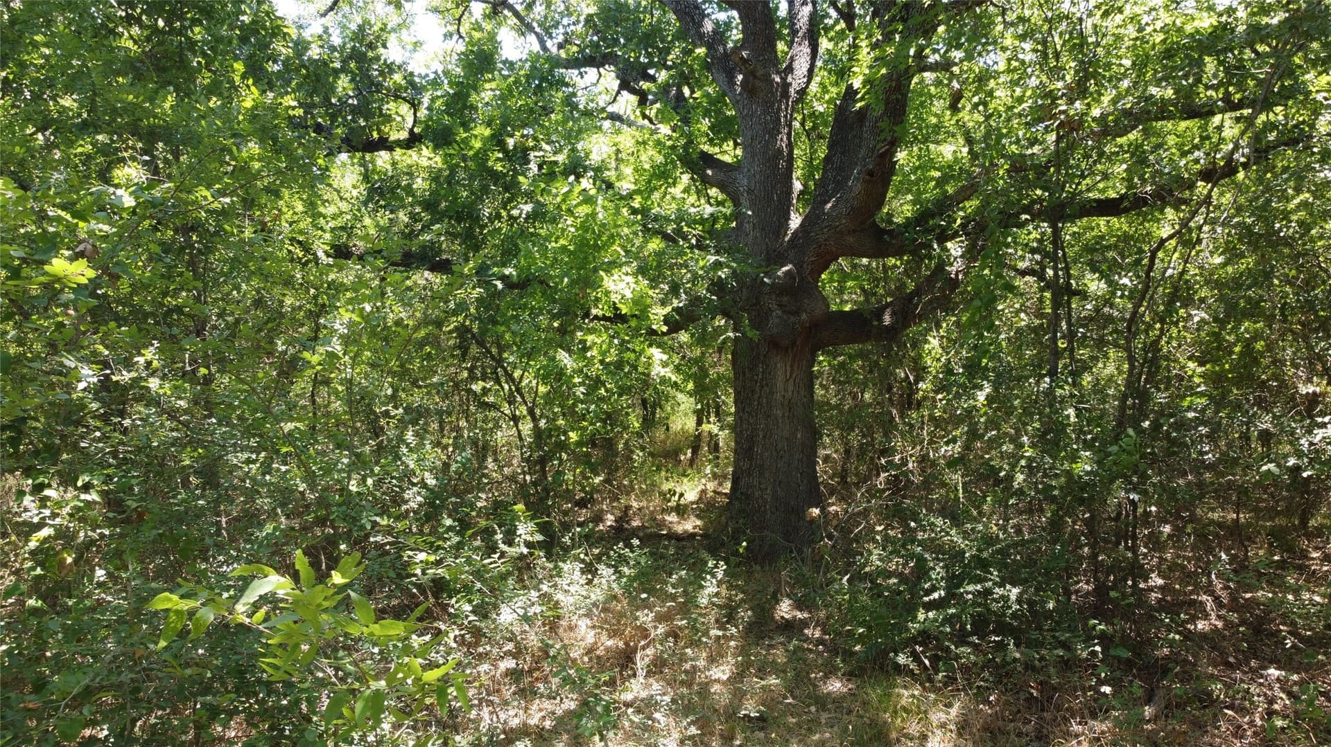 2.13 acres in Hunt County - photo 17