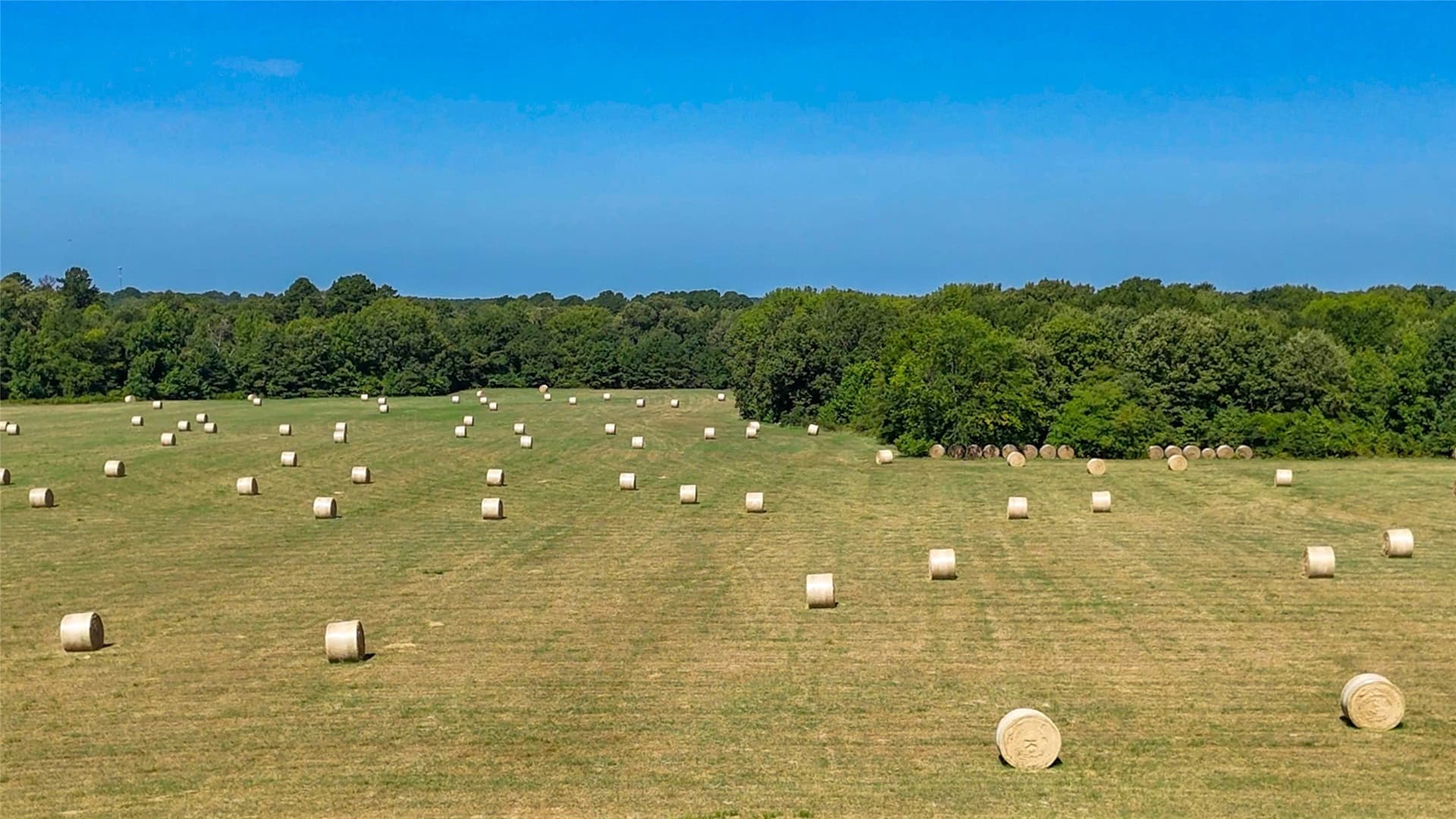 42 acres in Wood County - photo 14