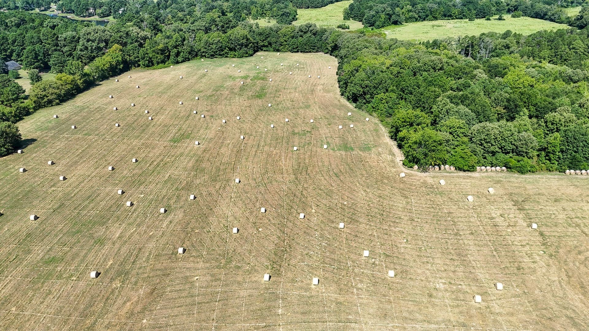 42 acres in Wood County - photo 13