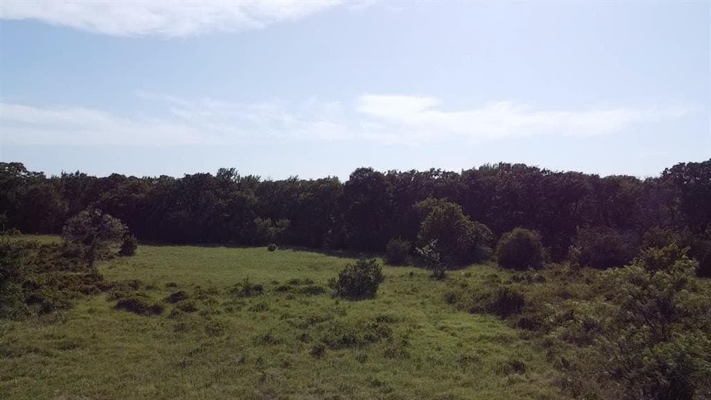 10 acres in Parker County gallery image 4