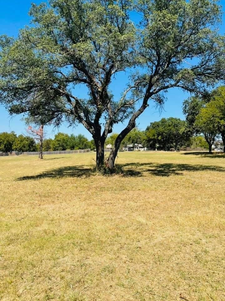 0.33 acres in Parker County - photo 9