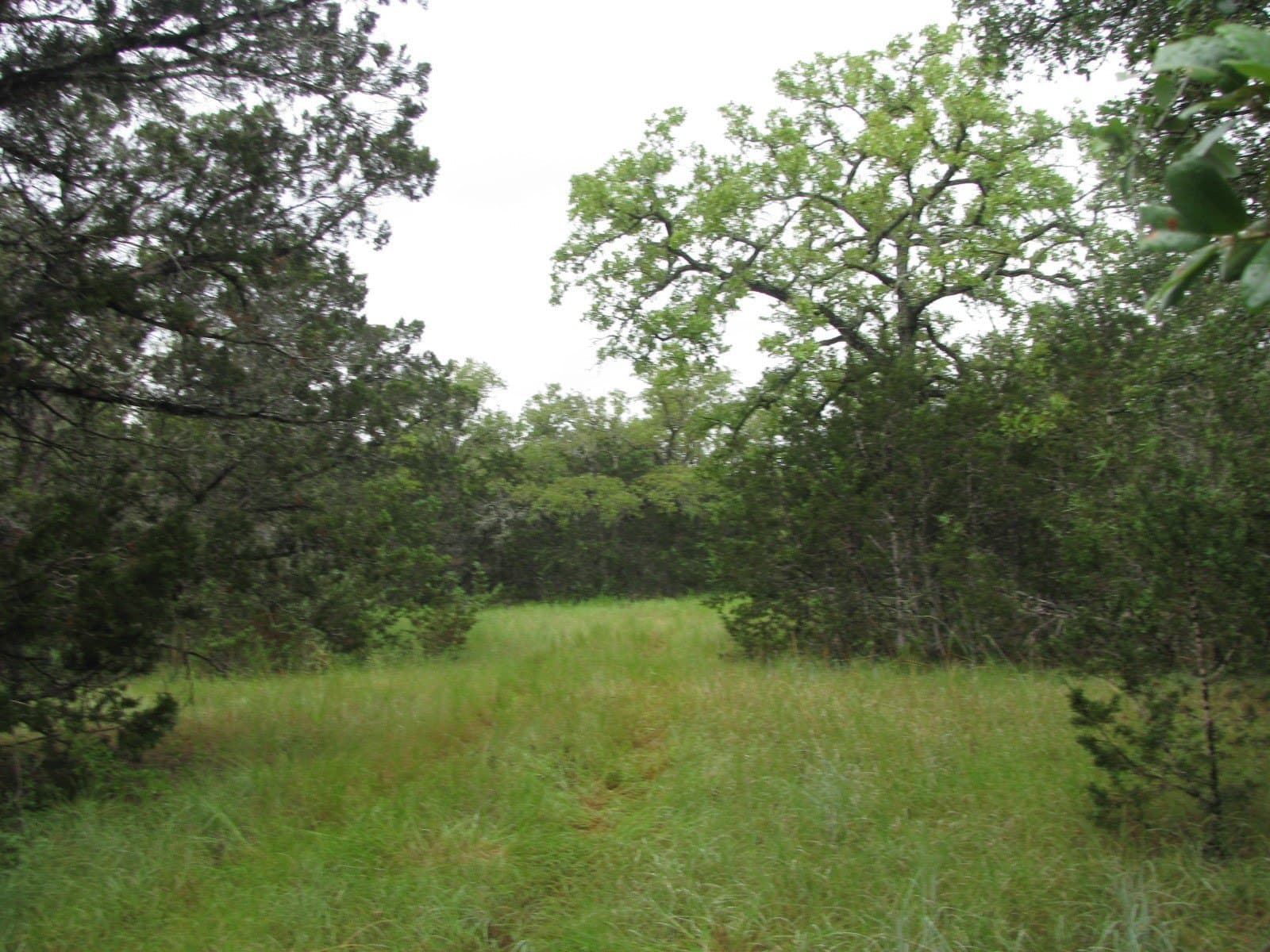 129.81 acres in Coryell County - photo 18