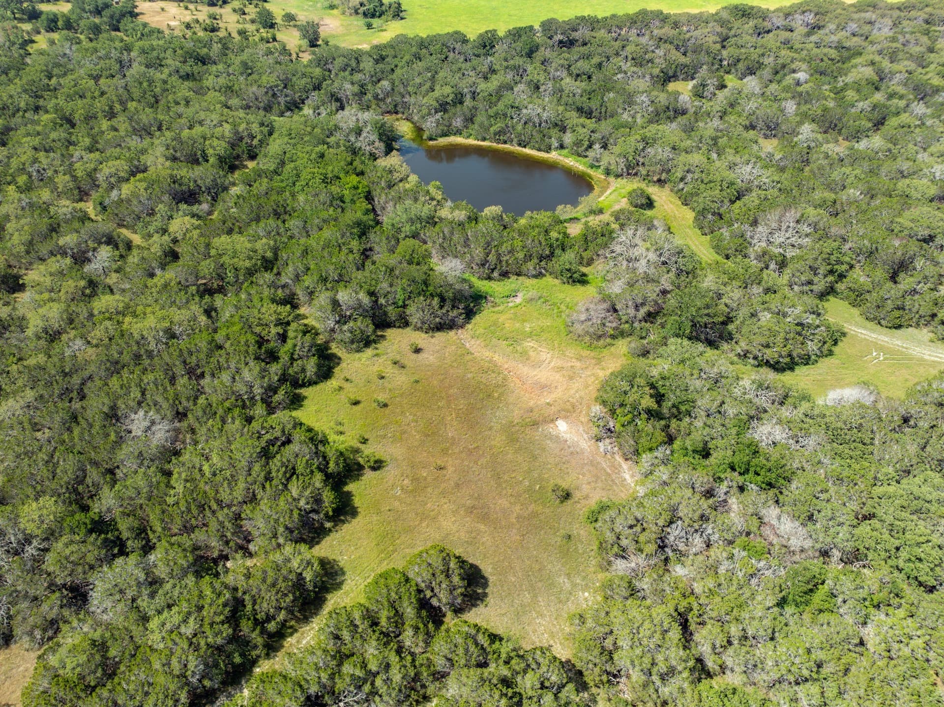 129.81 acres in Coryell County - photo 13