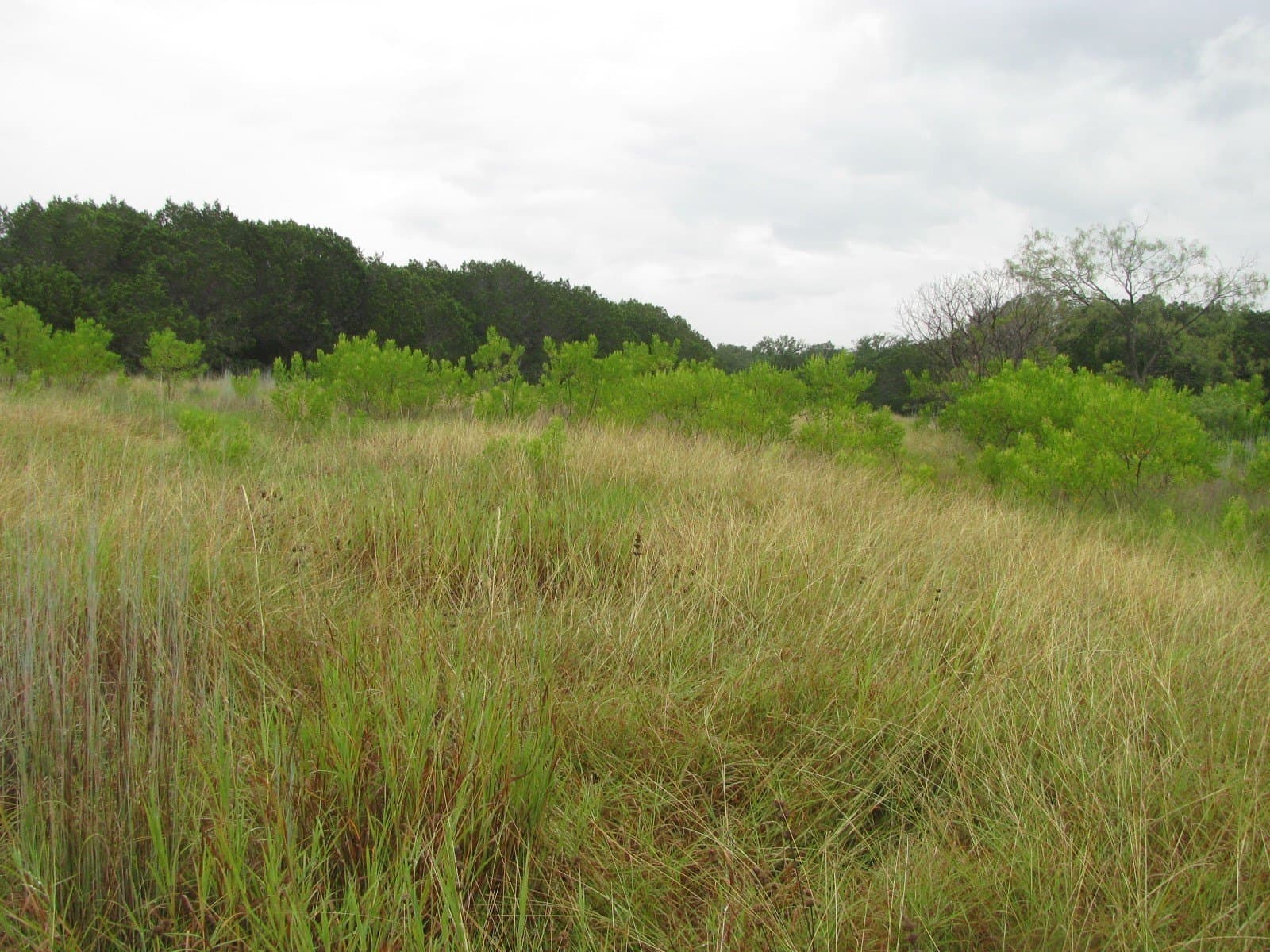 129.81 acres in Coryell County - photo 22