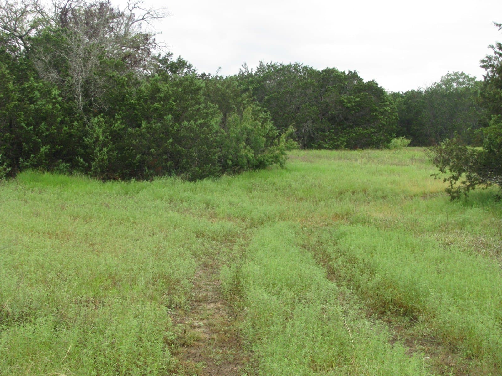 129.81 acres in Coryell County - photo 14