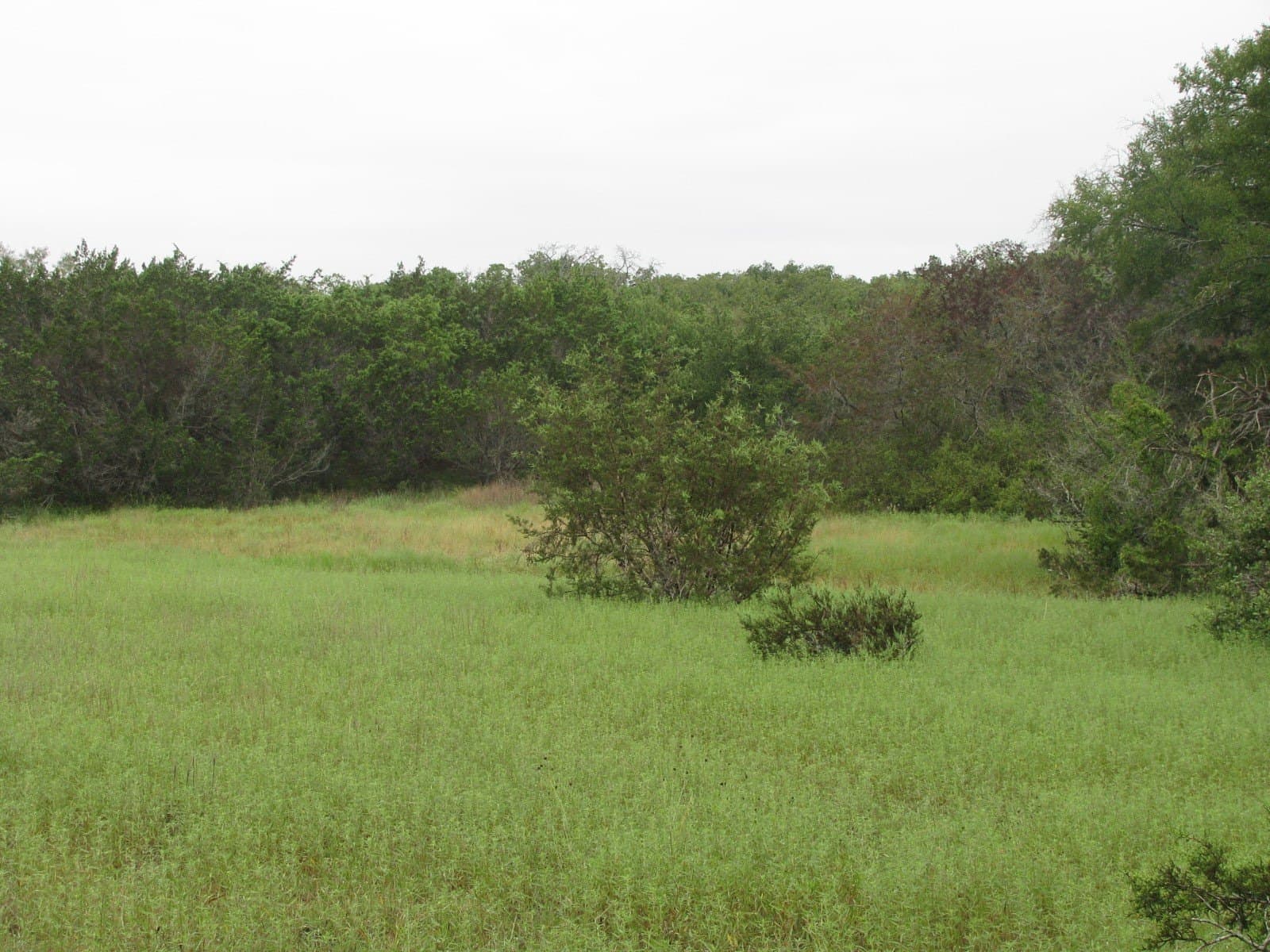 129.81 acres in Coryell County - photo 31