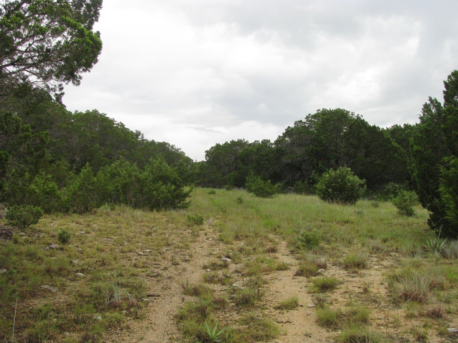 129.81 acres in Coryell County - photo 29