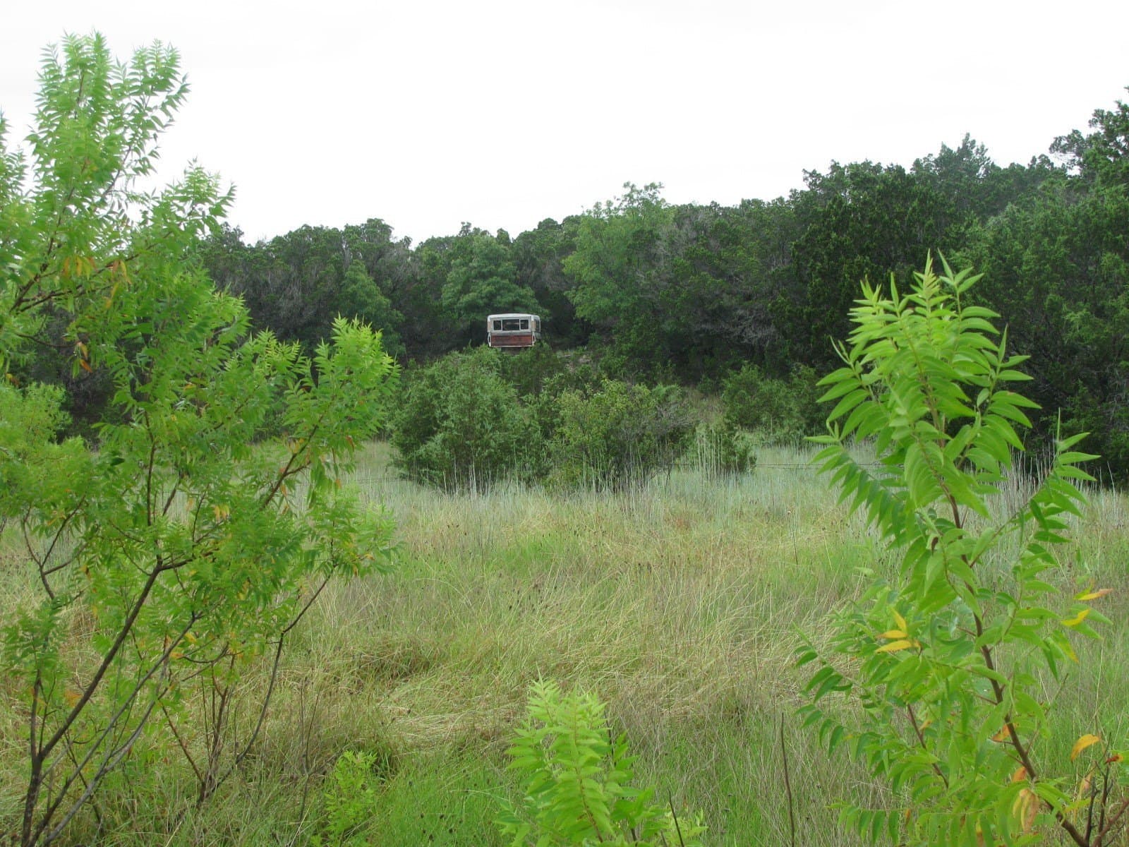 129.81 acres in Coryell County - photo 26