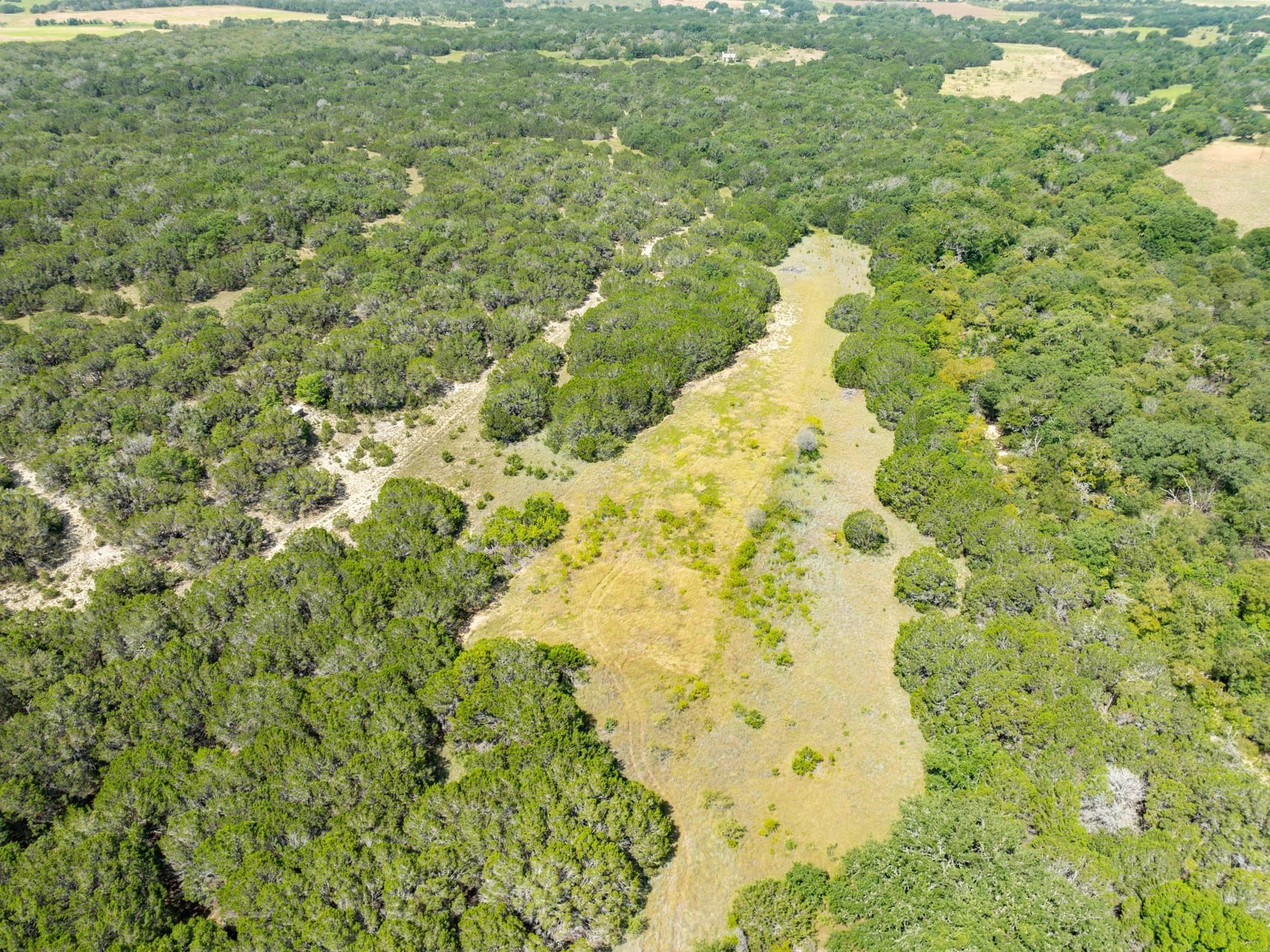 129.81 acres in Coryell County - photo 21