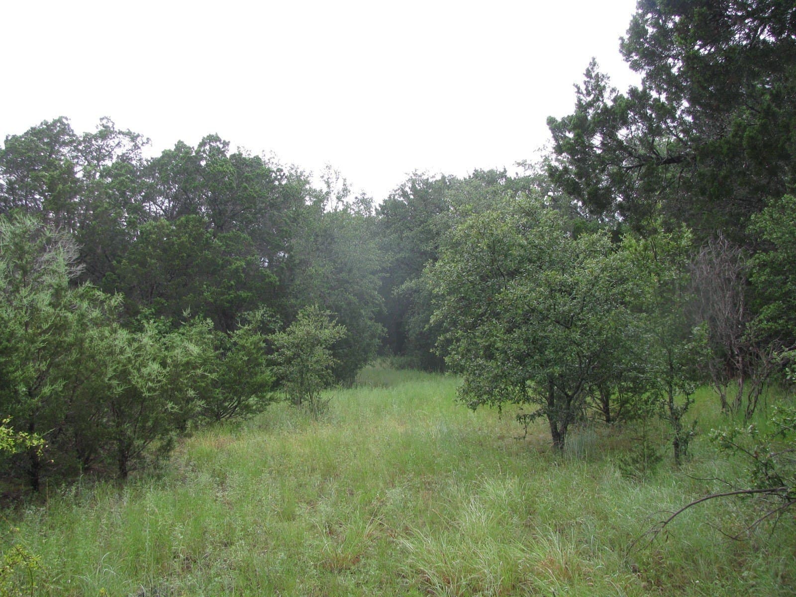 129.81 acres in Coryell County - photo 16