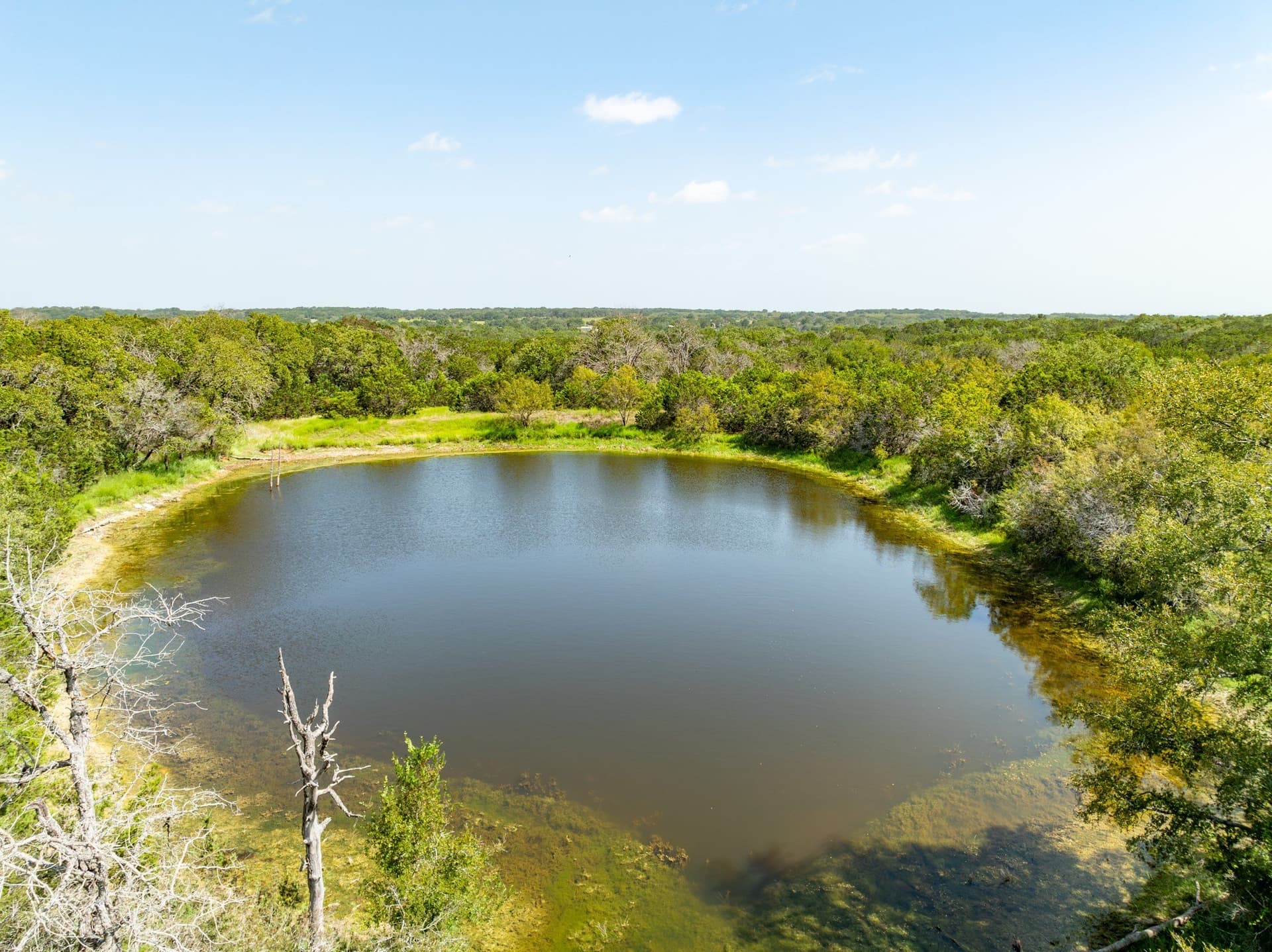 129.81 acres in Coryell County gallery image 3