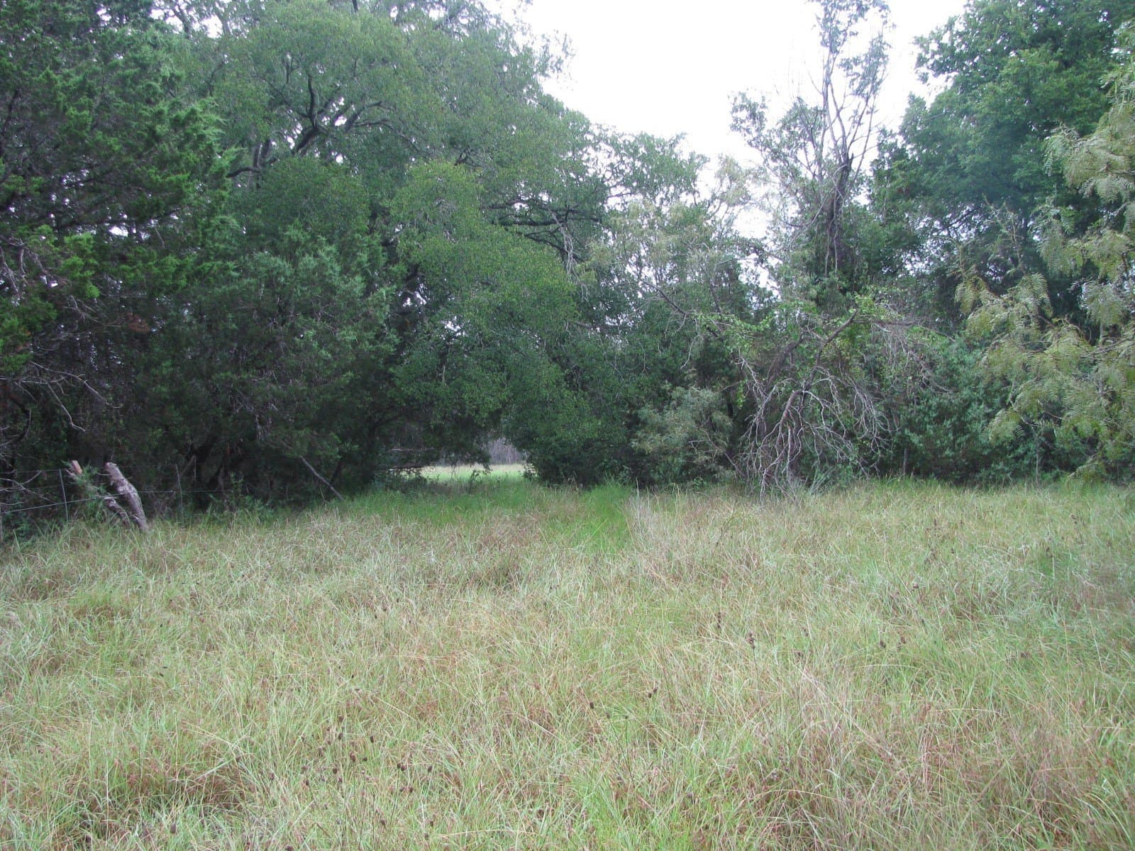 129.81 acres in Coryell County - photo 27