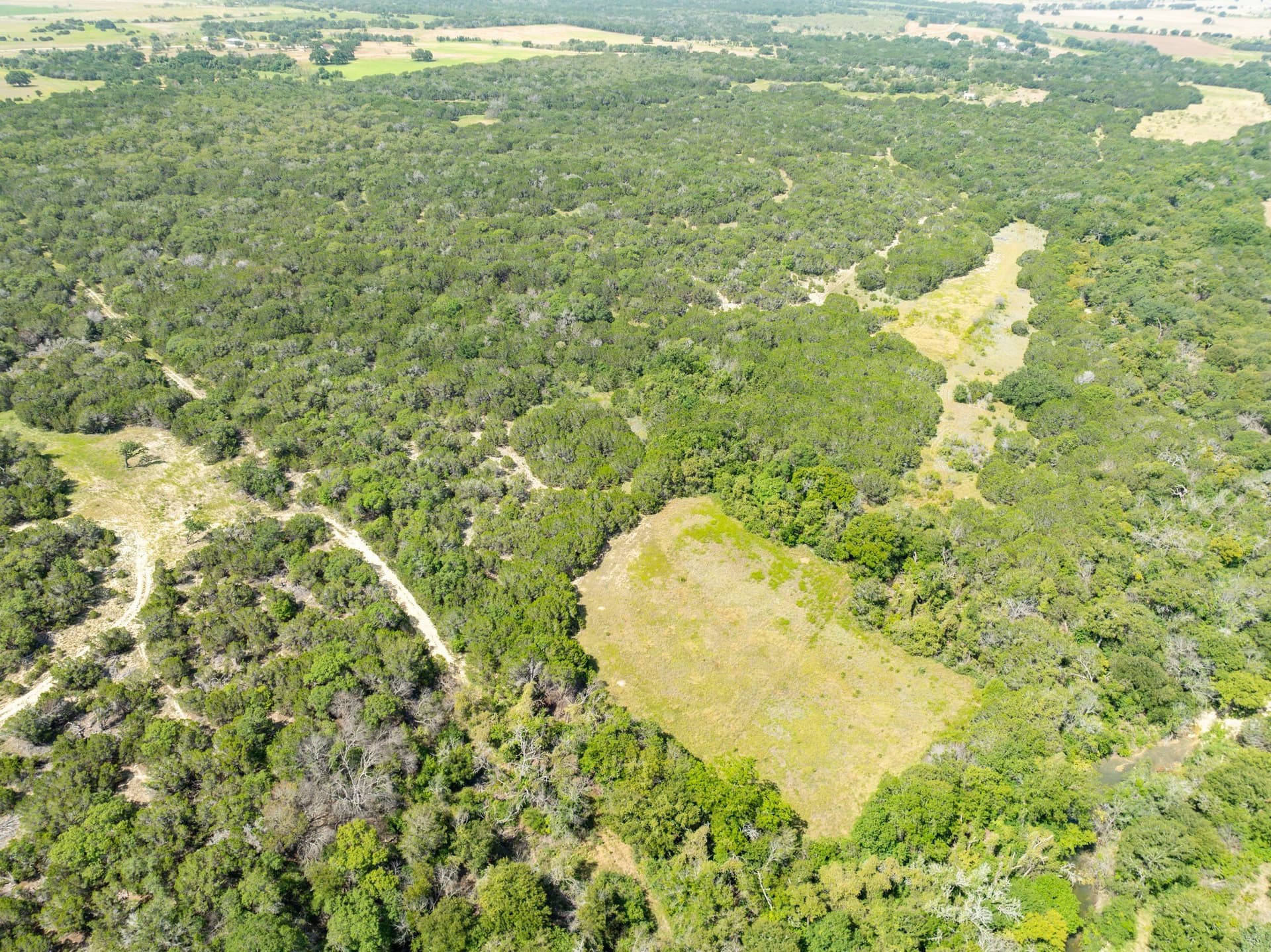 129.81 acres in Coryell County - photo 25
