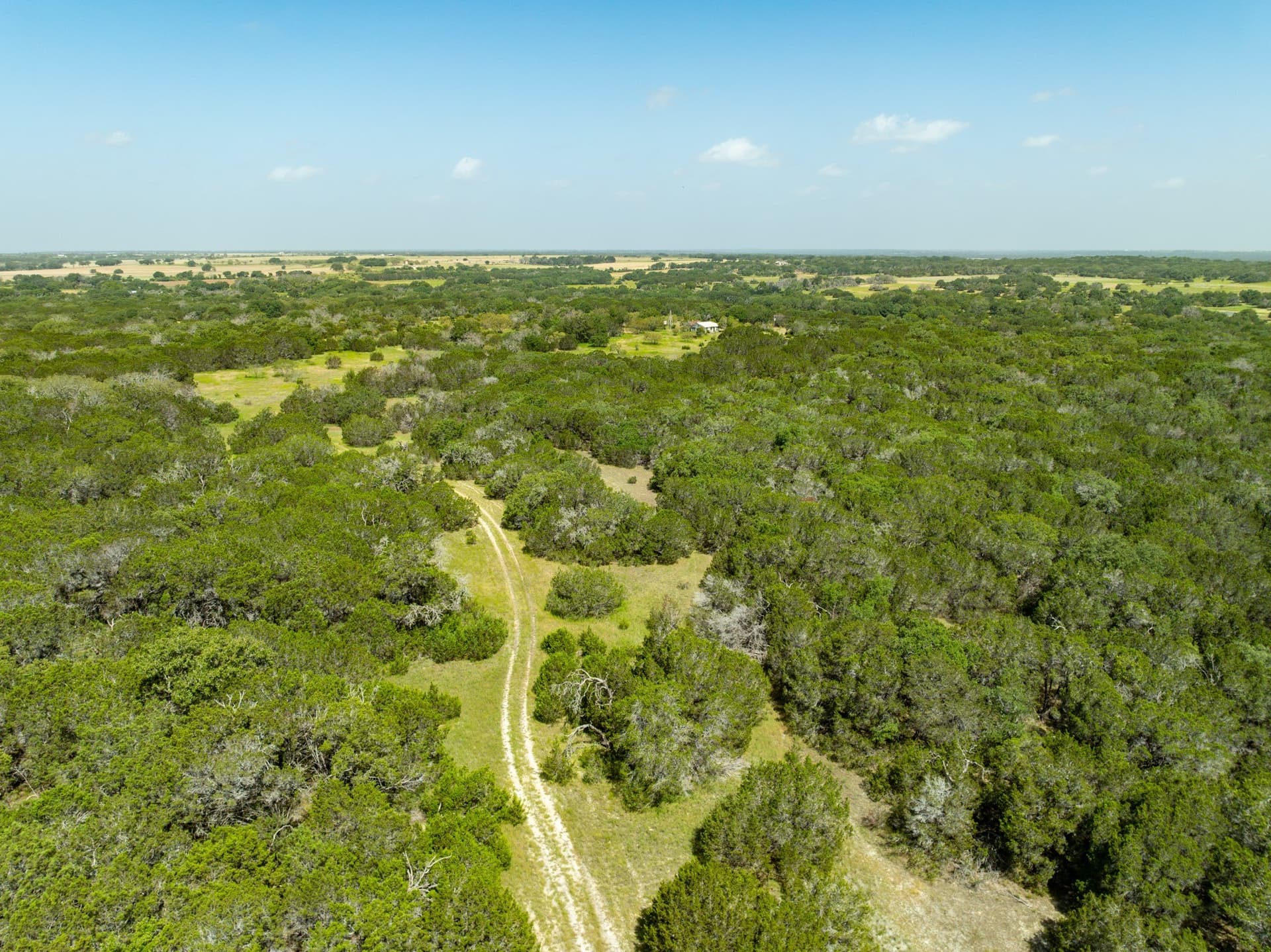 129.81 acres in Coryell County - photo 17