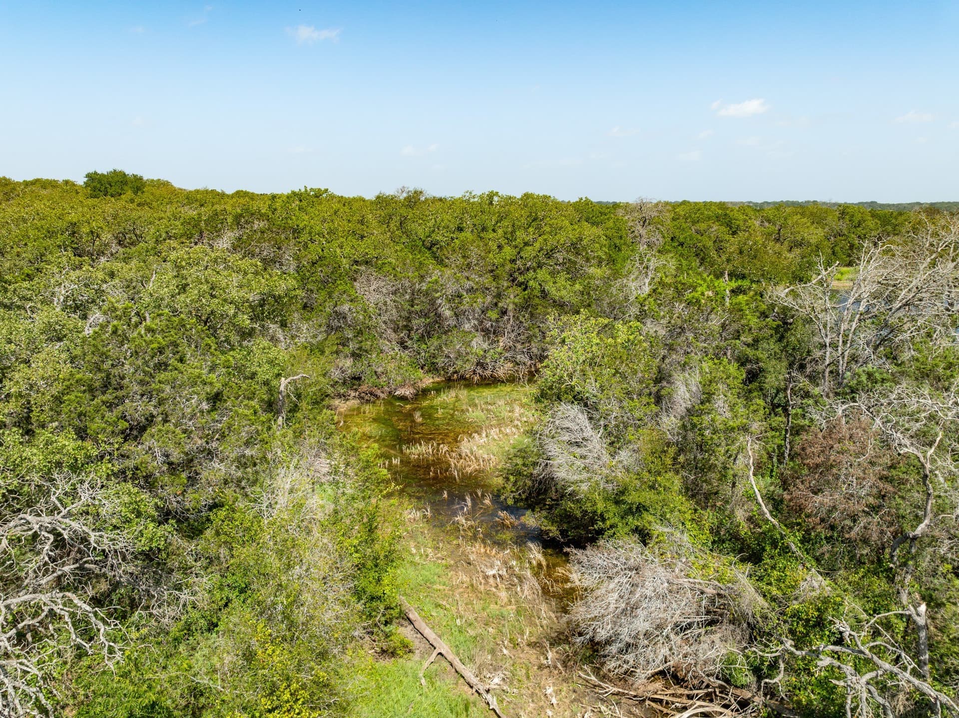 129.81 acres in Coryell County - photo 6