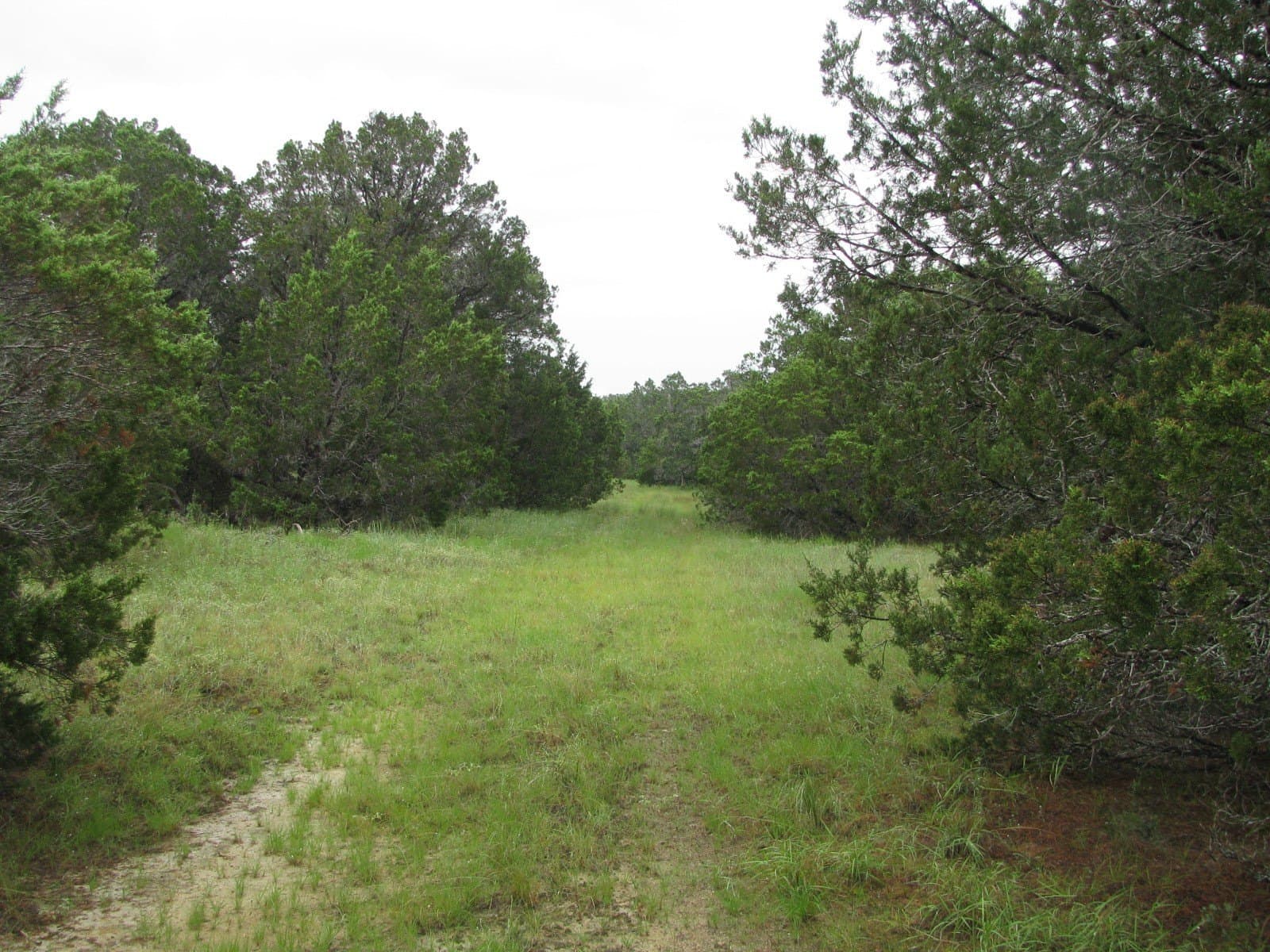 129.81 acres in Coryell County - photo 30