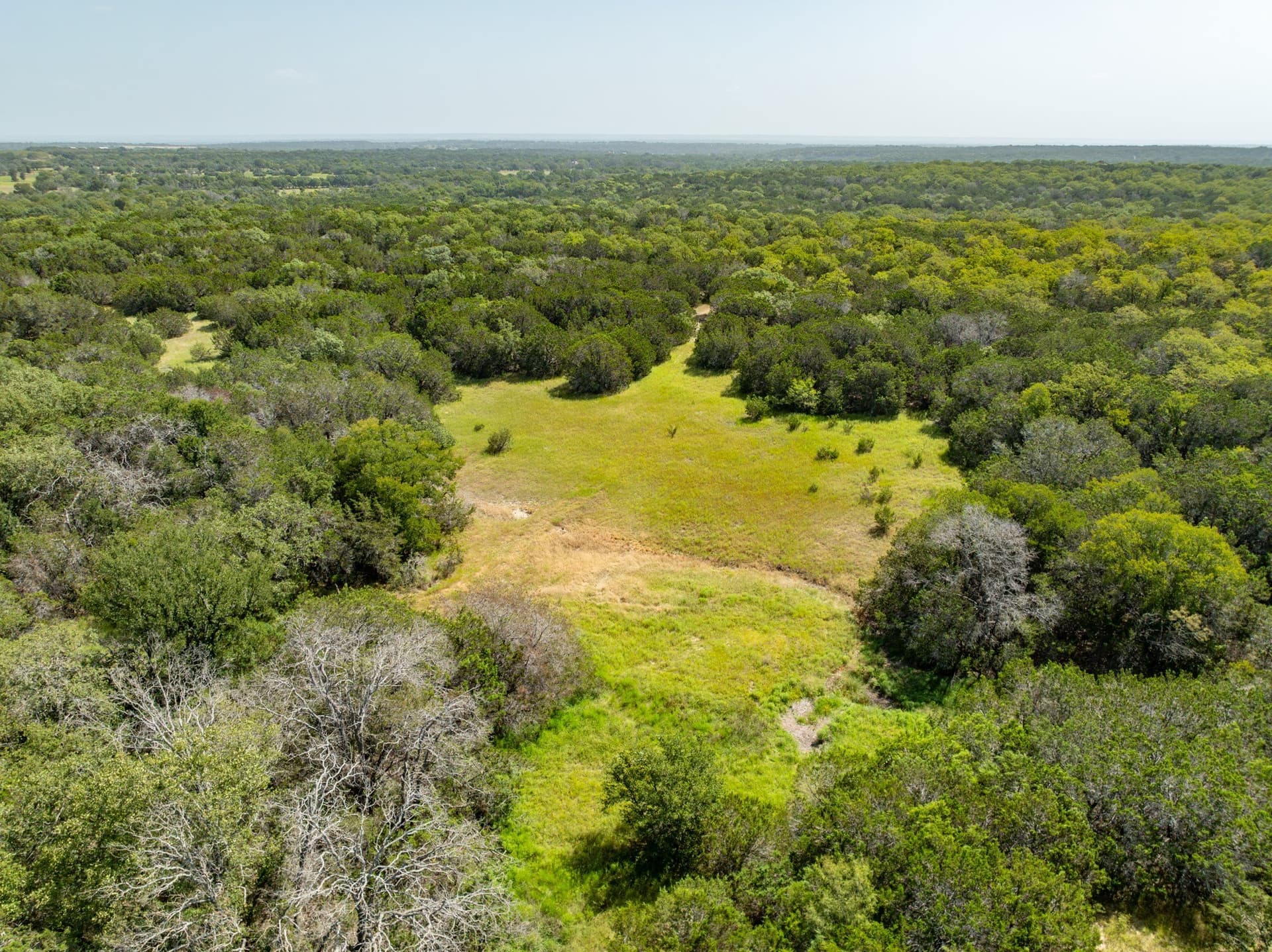 129.81 acres in Coryell County - photo 9