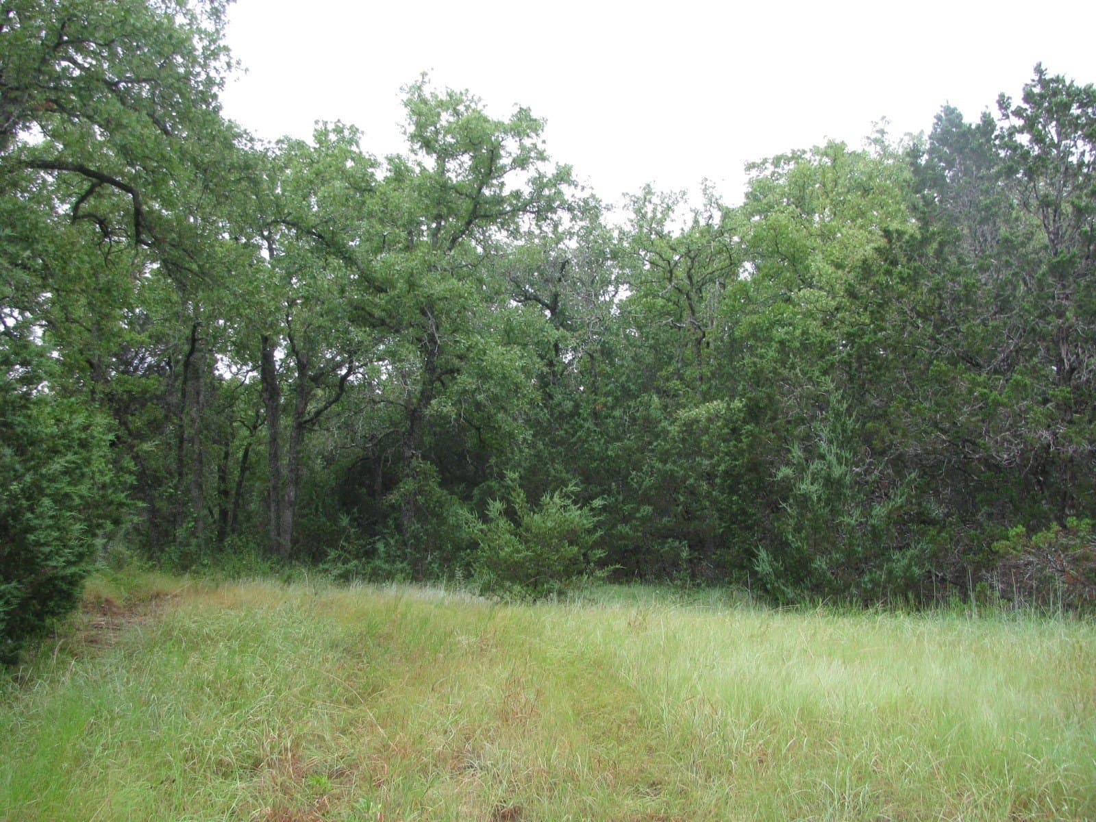 129.81 acres in Coryell County - photo 33