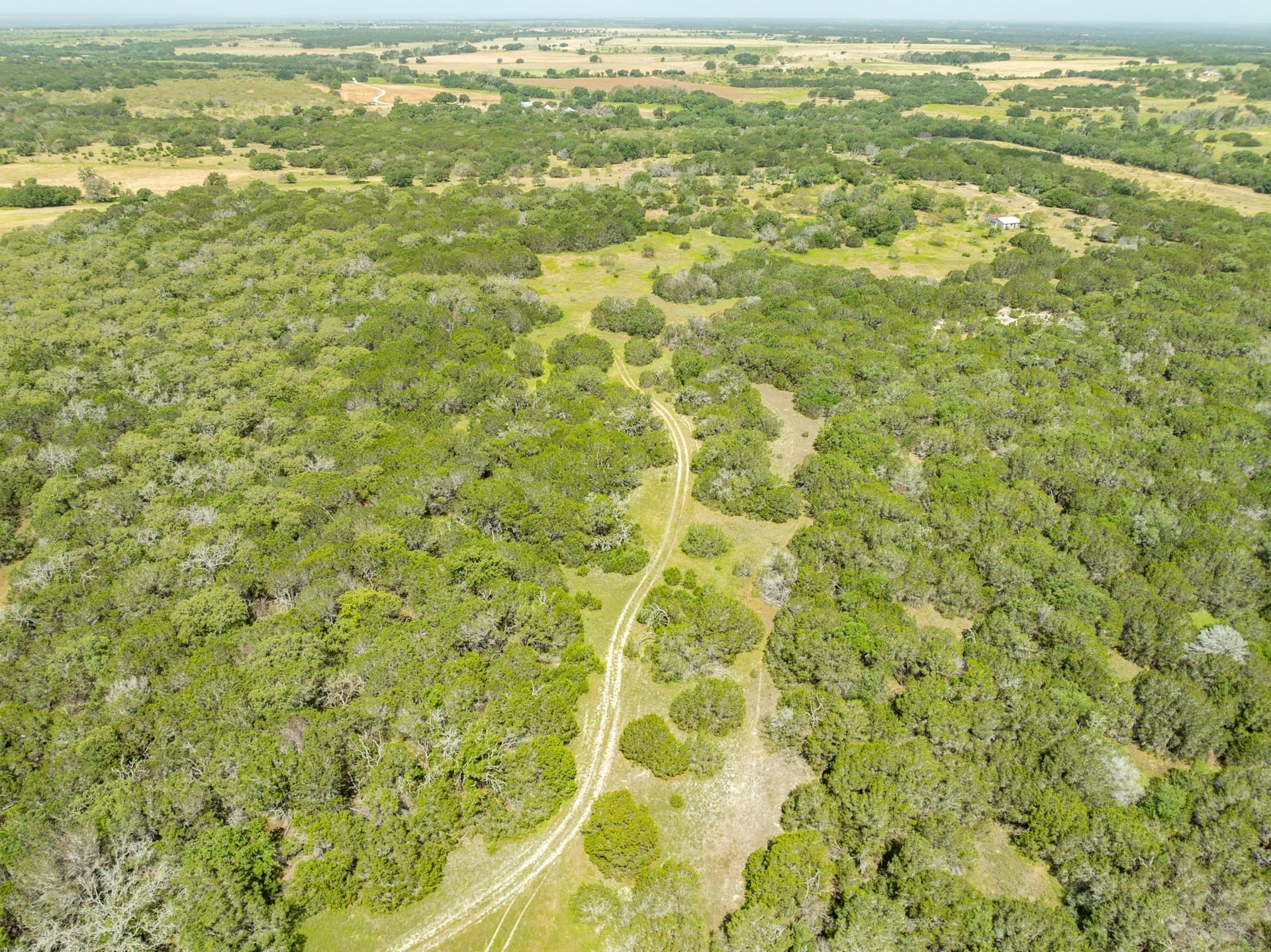 129.81 acres in Coryell County - photo 15