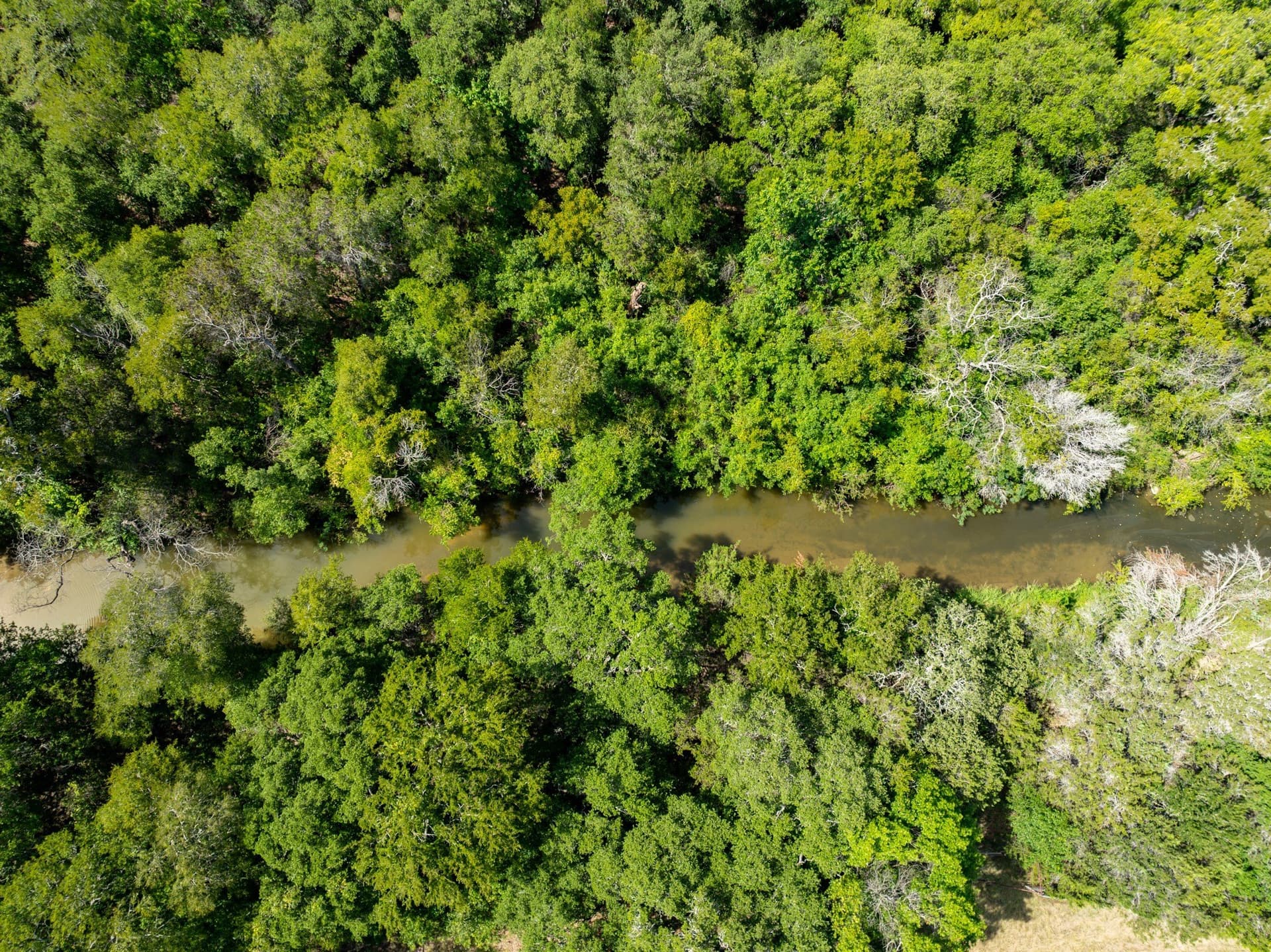 129.81 acres in Coryell County - photo 8