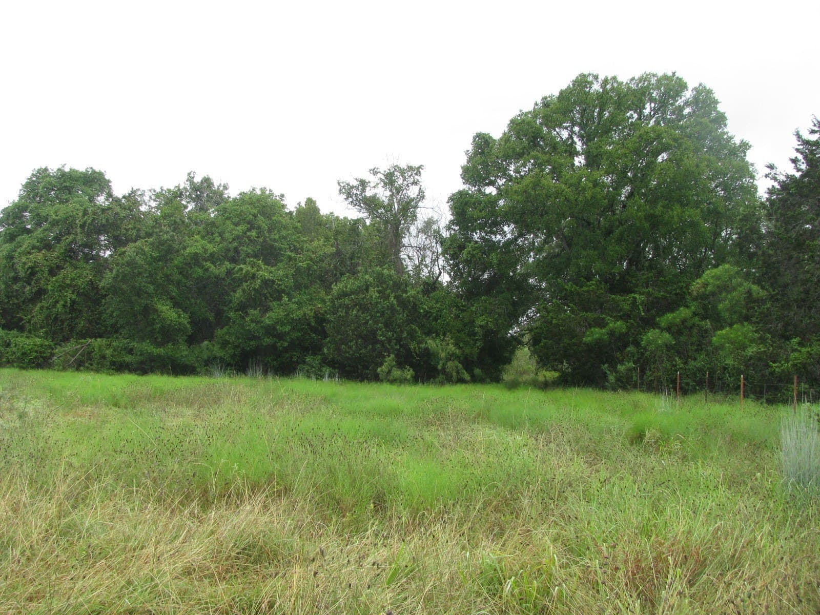 129.81 acres in Coryell County - photo 28