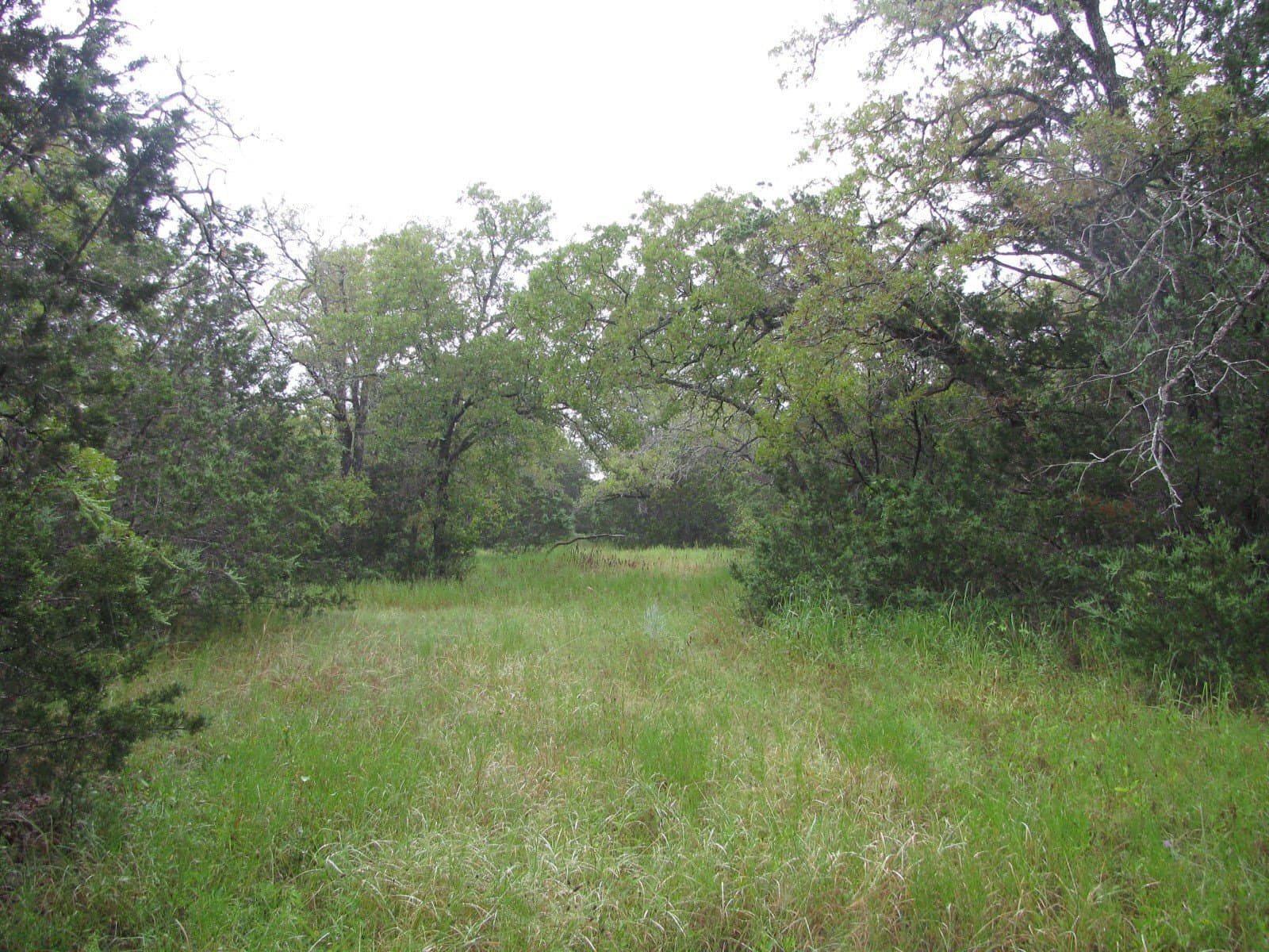 129.81 acres in Coryell County featured view