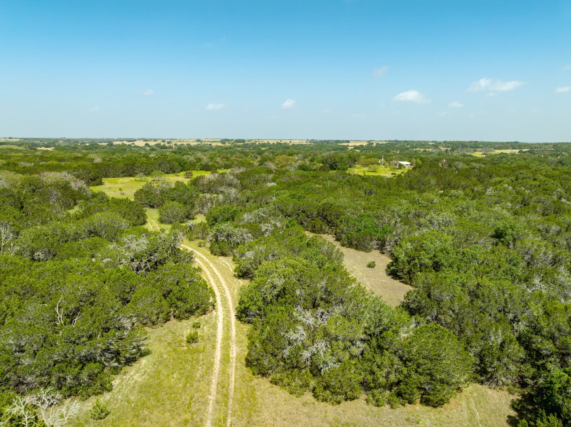 129.81 acres in Coryell County - photo 19