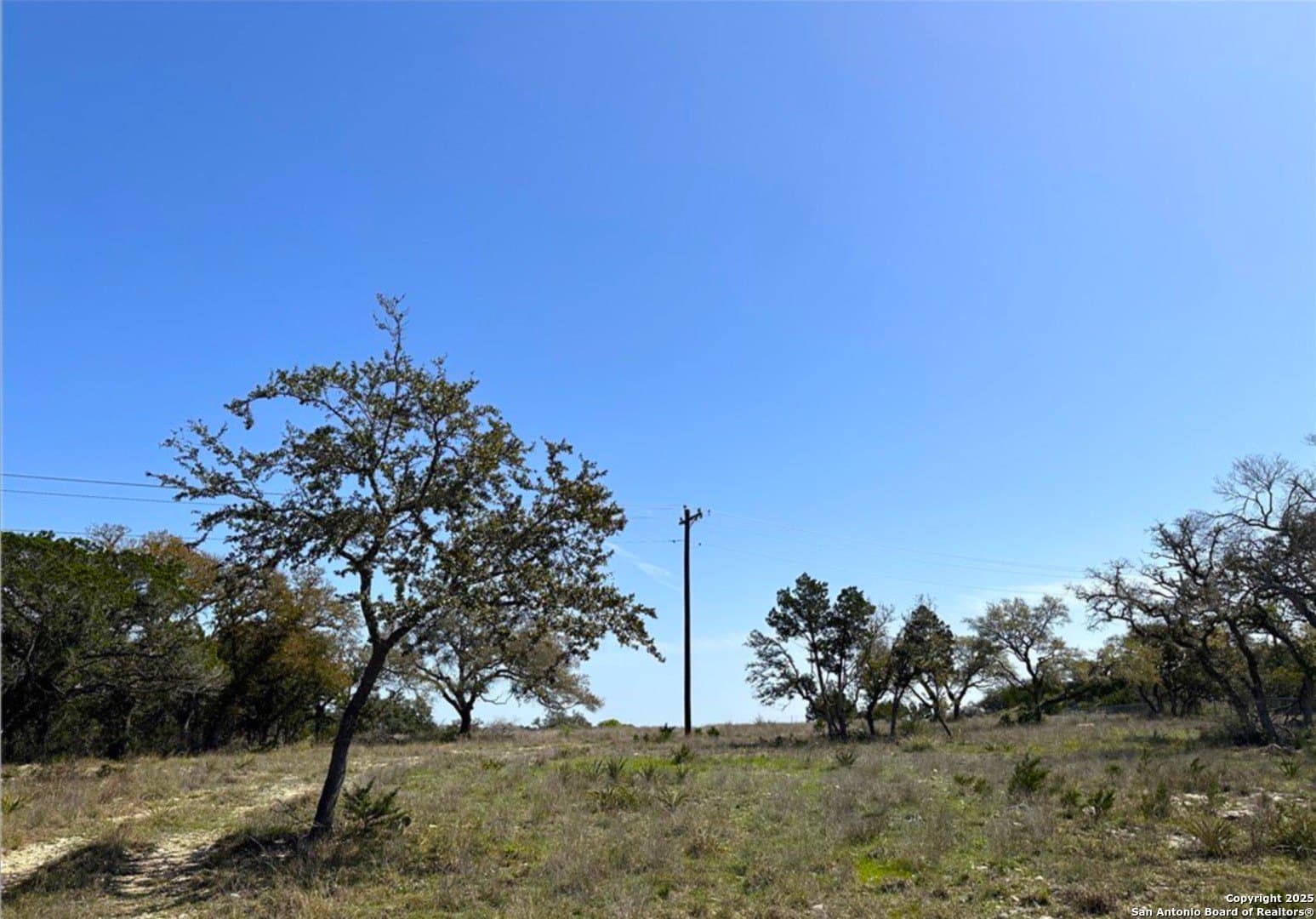 6.61 acres in Comal County - photo 9