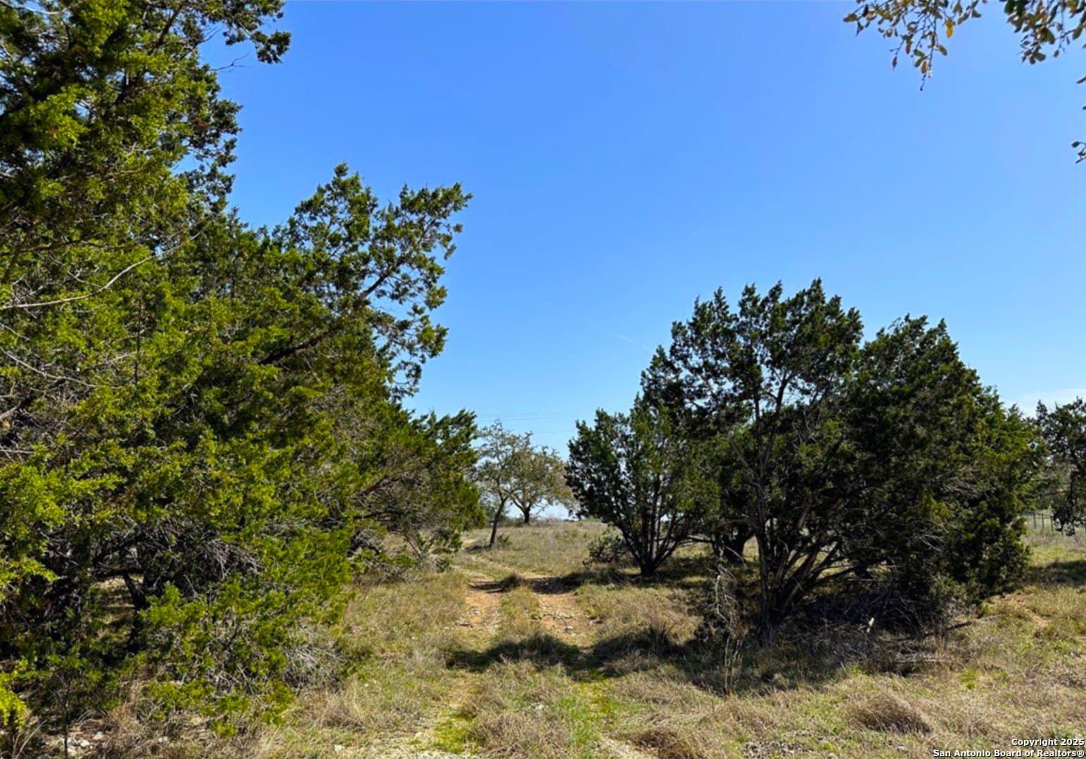 6.61 acres in Comal County - photo 7