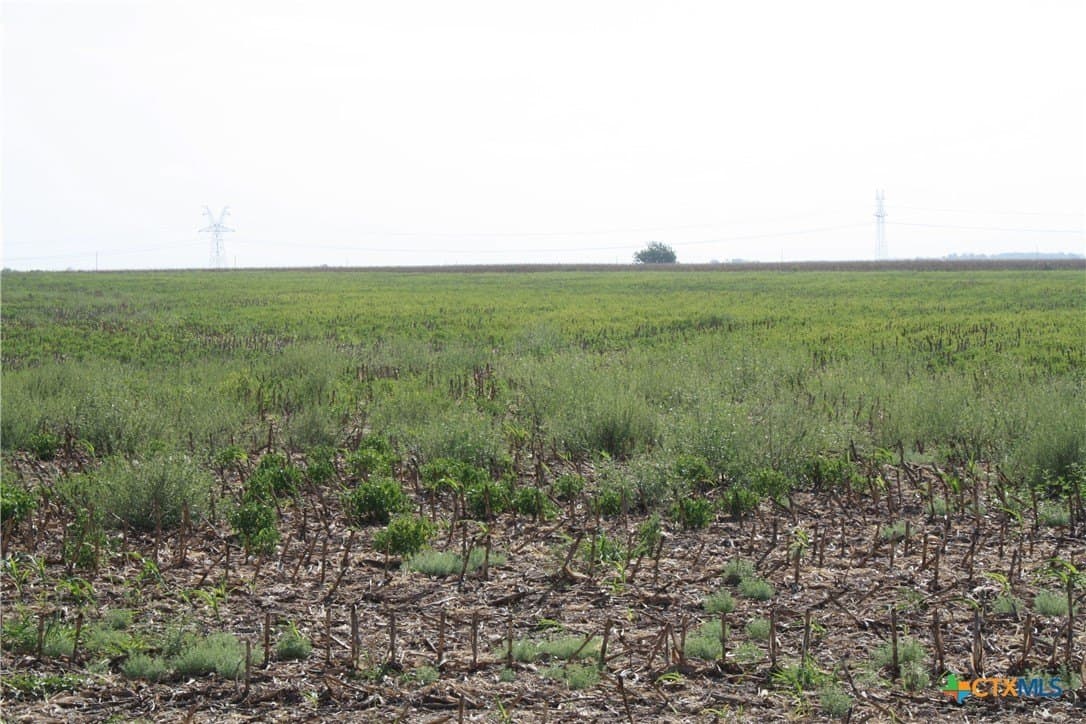 11 acres in Bell County - photo 9