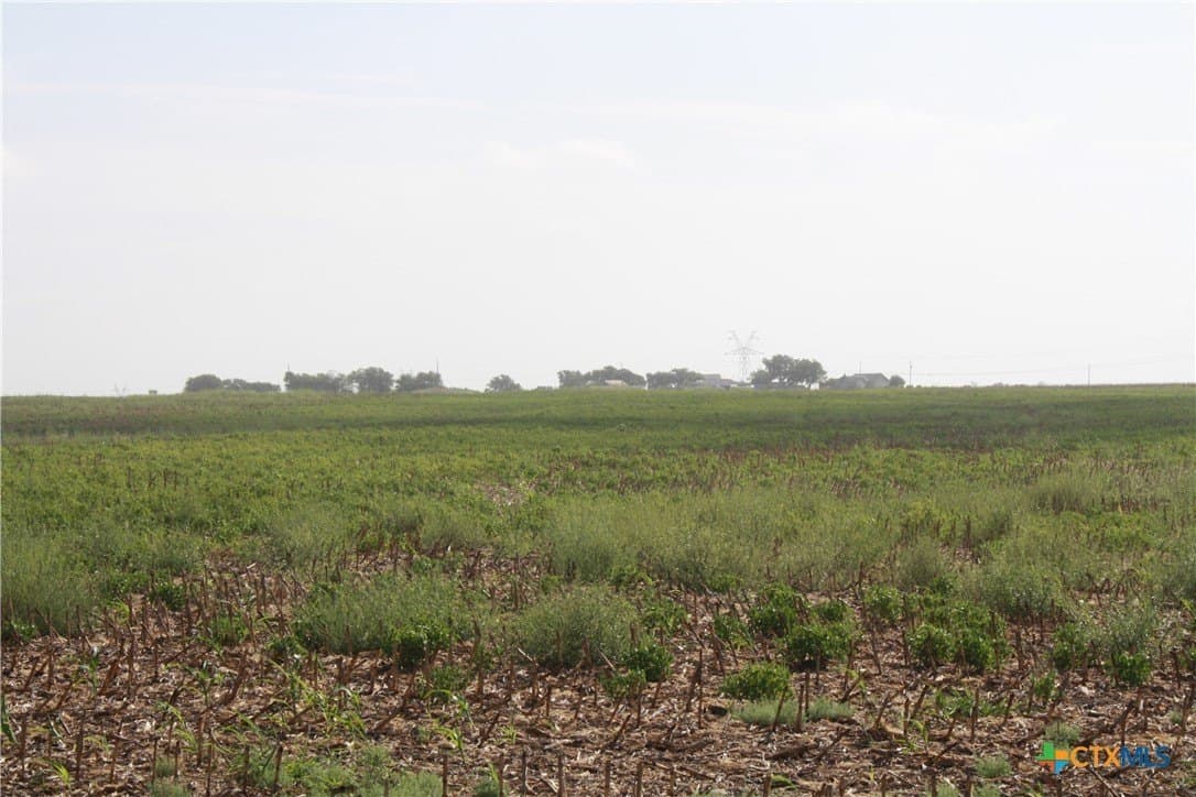 11 acres in Bell County - photo 6