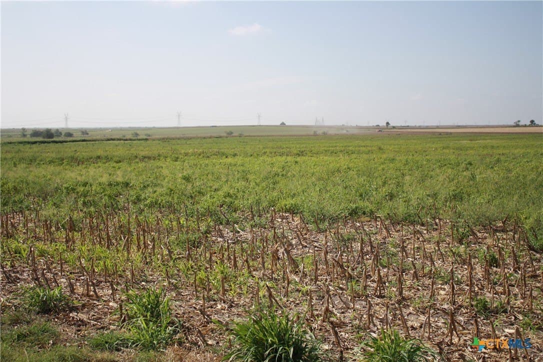 11 acres in Bell County - photo 10