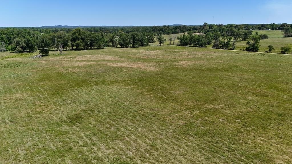 119.5 acres in Henderson County - photo 41