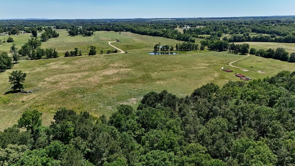 119.5 acres in Henderson County - photo 42