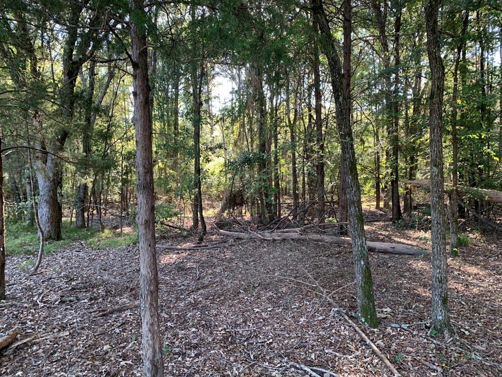 119.5 acres in Henderson County - photo 44