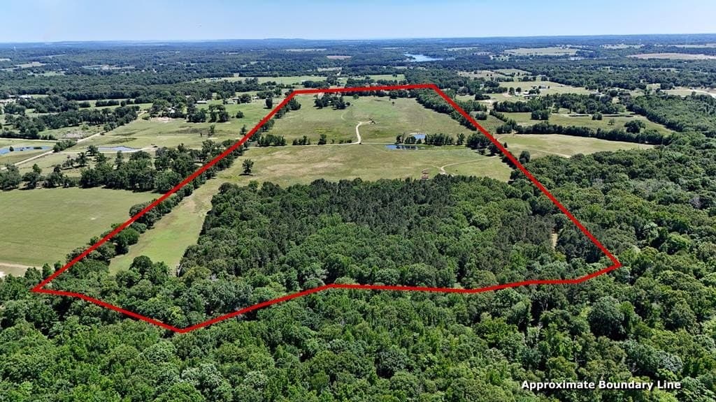 119.5 acres in Henderson County - photo 4