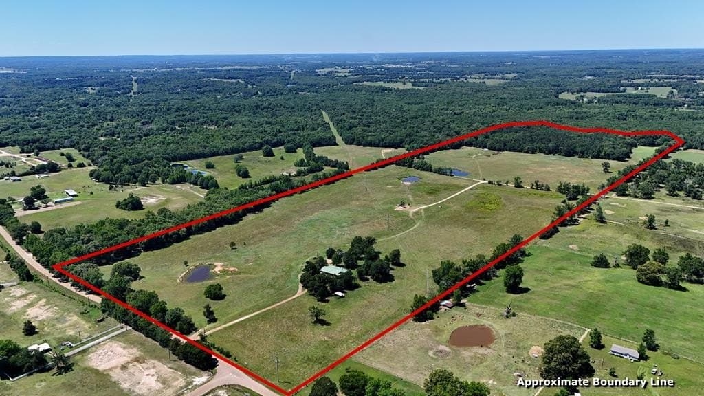 119.5 acres in Henderson County