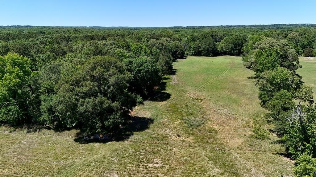 119.5 acres in Henderson County - photo 38