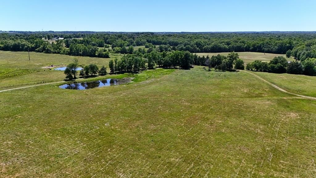119.5 acres in Henderson County - photo 37
